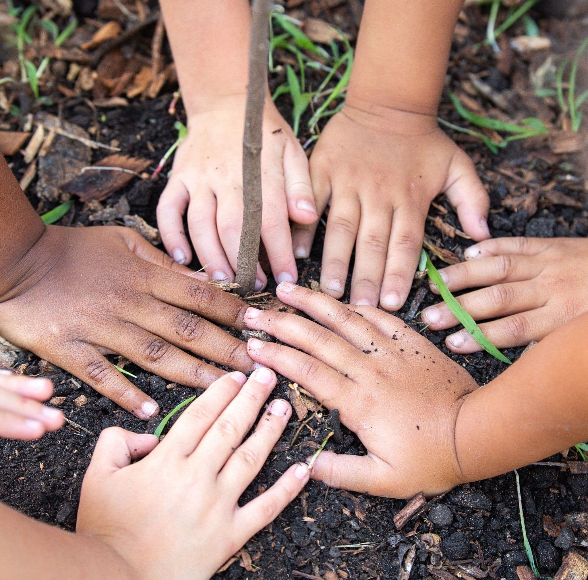 The Green Garden Child Development Center color logo