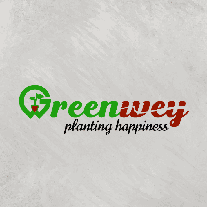 Greenwey Creation Pvt. Ltd. color logo