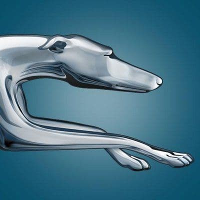 Greyhound Bus color logo