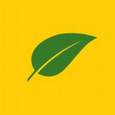 The Grounds Guys color logo