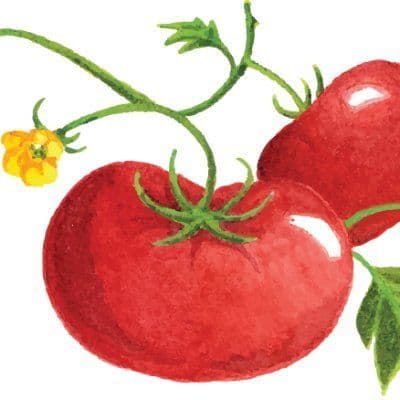 growOrganic.com color logo