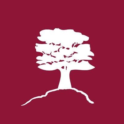 Grupo Montecristo Costa Rica color logo