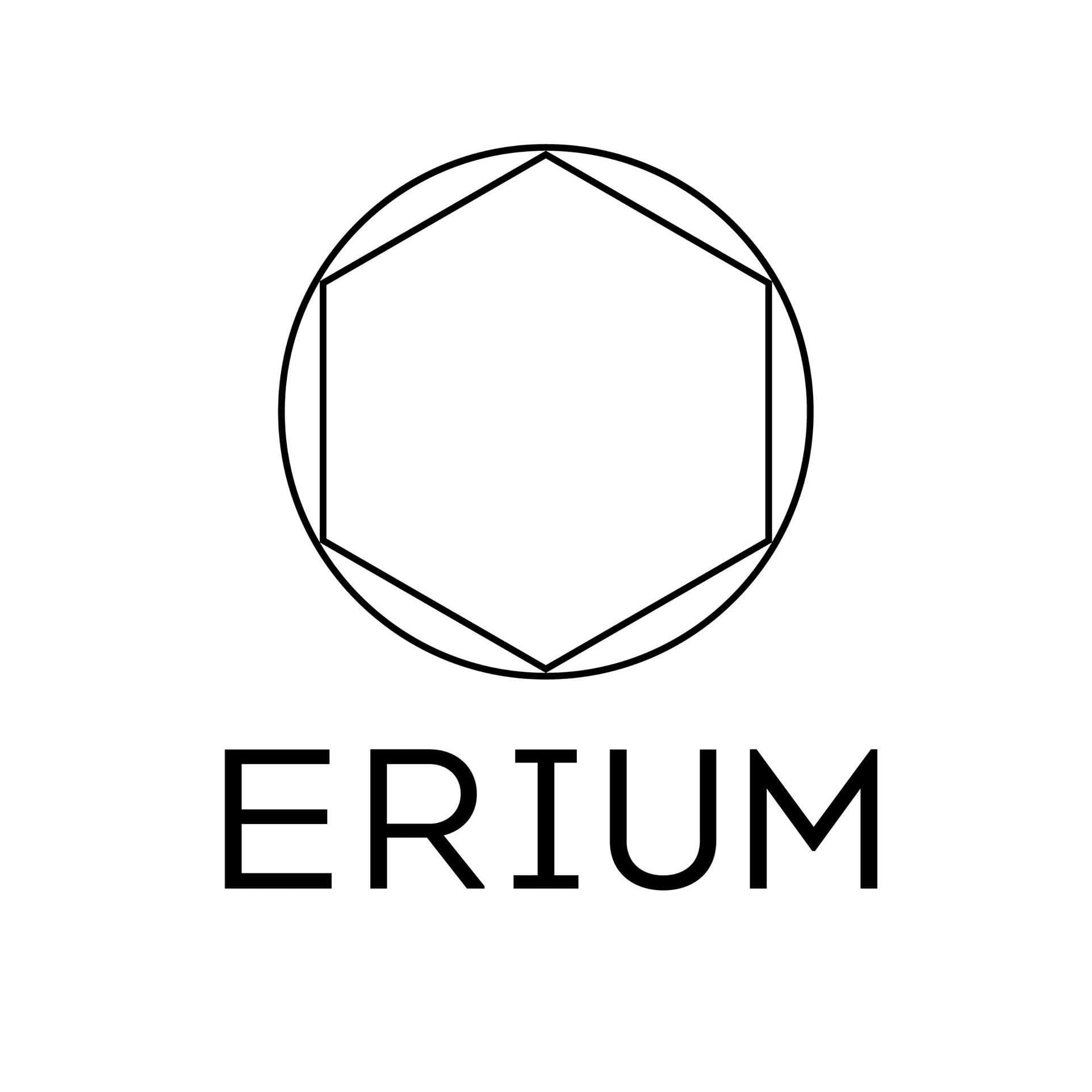 Erium GmbH color logo
