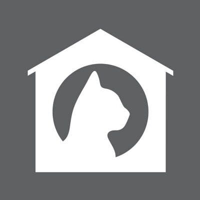 Hauspanther color logo