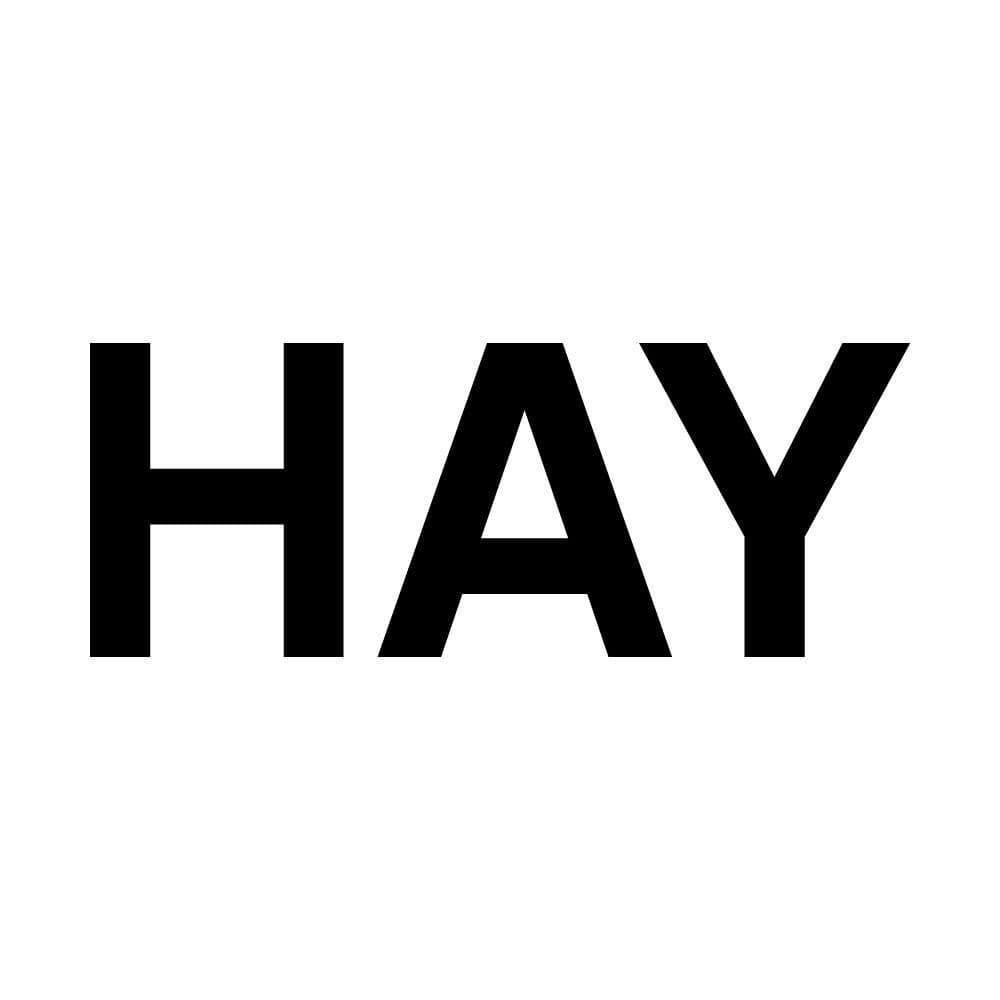 HAY color logo