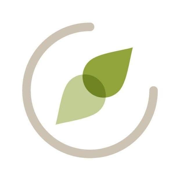 HealthAdvisor.ch color logo