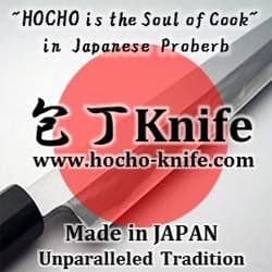 Hocho Knife color logo