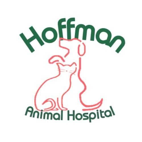 Hoffman Animal Hospital | Annapolis MD color logo