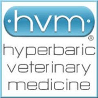 Hvm color logo