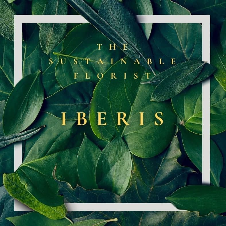 Iberis gardening for wellbeing color logo