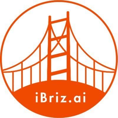 iBriz.ai color logo