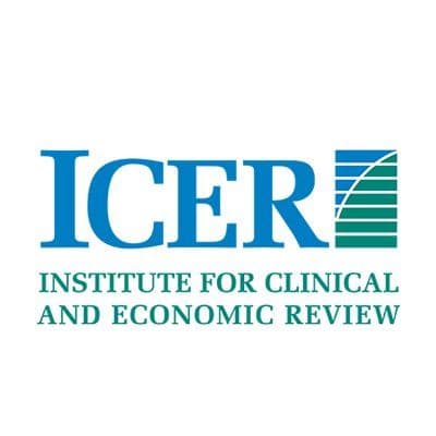 ICER color logo