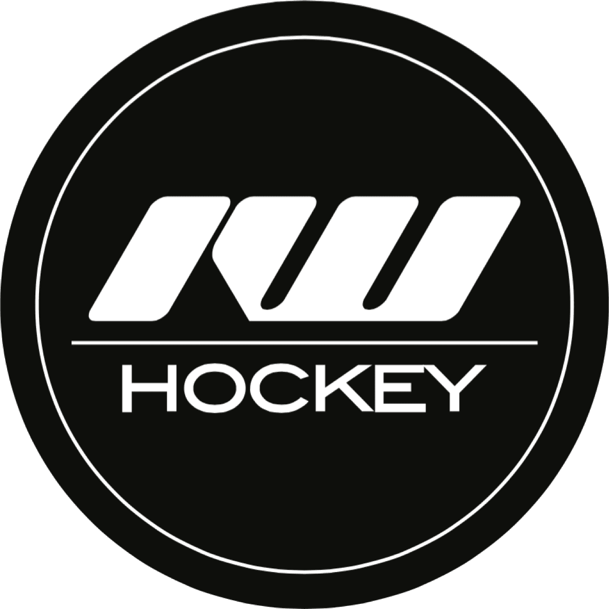 Ice Warehouse color logo