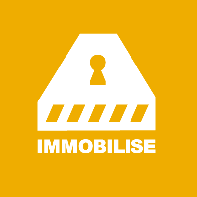 Immobilise color logo