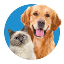 Innovetive Petcare