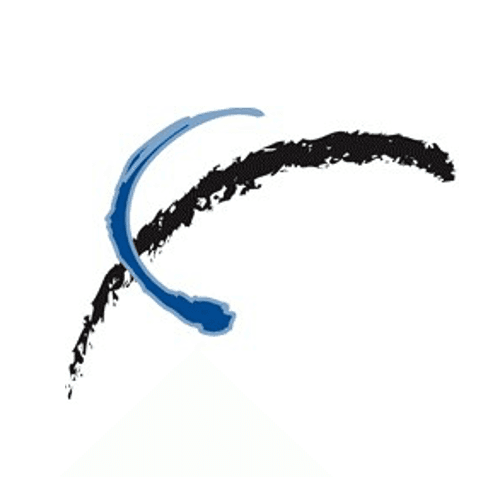 Interra USA Inc color logo