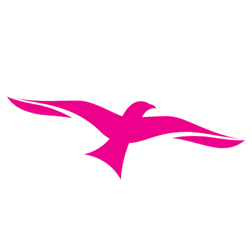 Ionity color logo