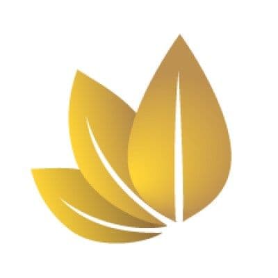 ITALIA CIGAR COMPANY color logo