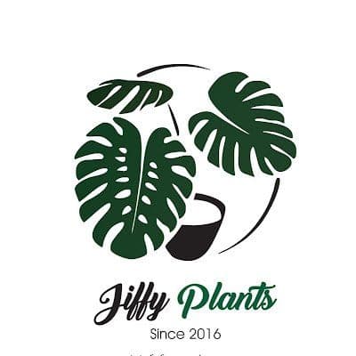 Jiffy Plants color logo
