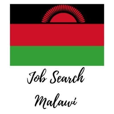 Job Search Malawi color logo
