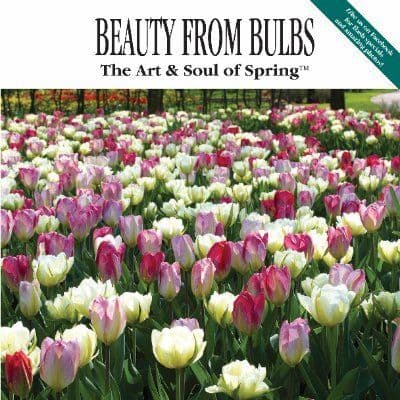 John Scheepers Beauty From Bulbs color logo