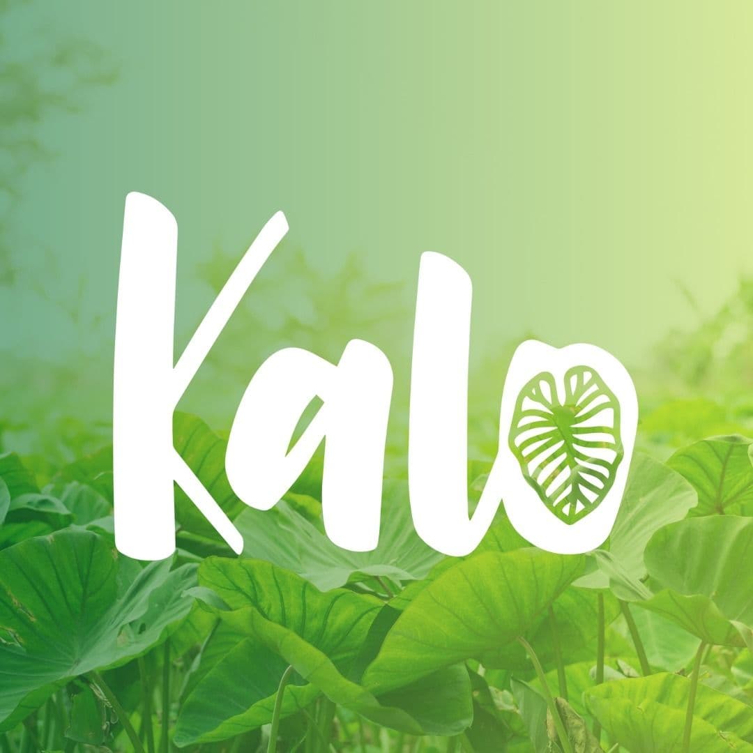 Kalo Clinical Research color logo