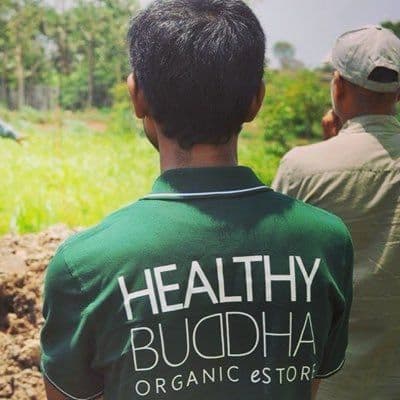 Healthy Buddha color logo