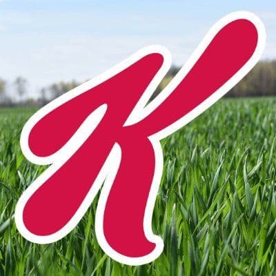 Kellogg's color logo