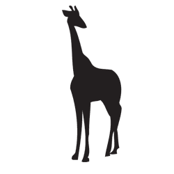 Kendrick Imports color logo