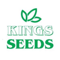 Kings Seeds