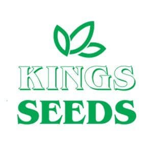 Kings Seeds color logo