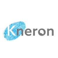 Kneron color logo