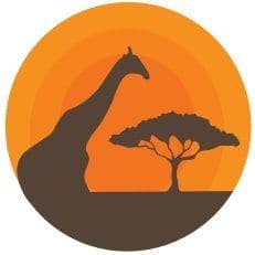 Kruger Sightings