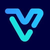 Lets Viz Technologies color logo