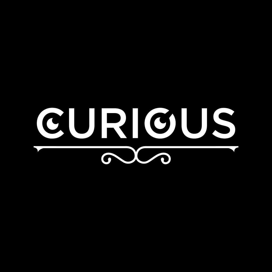 Lets Curious color logo