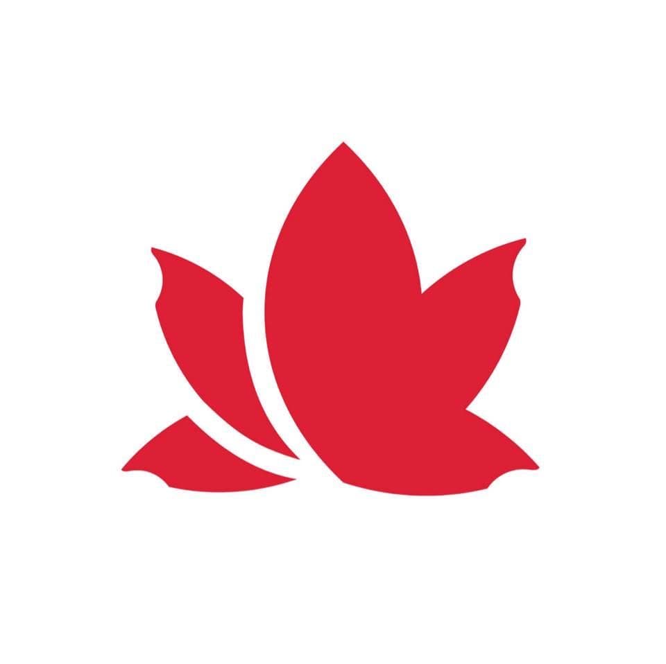 Lifemark color logo