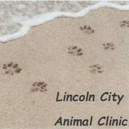 Lincoln City AC