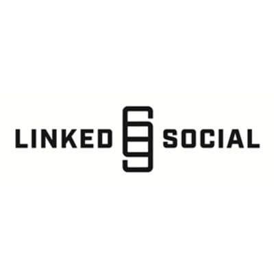 LinkedSocial color logo