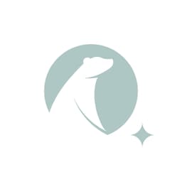 littlebigFuture