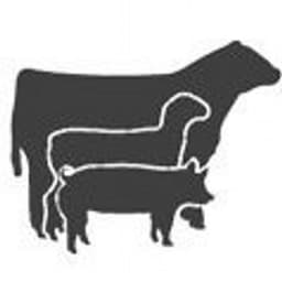 Livestockjudging.com