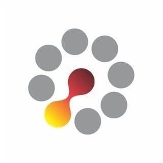 LNEG color logo