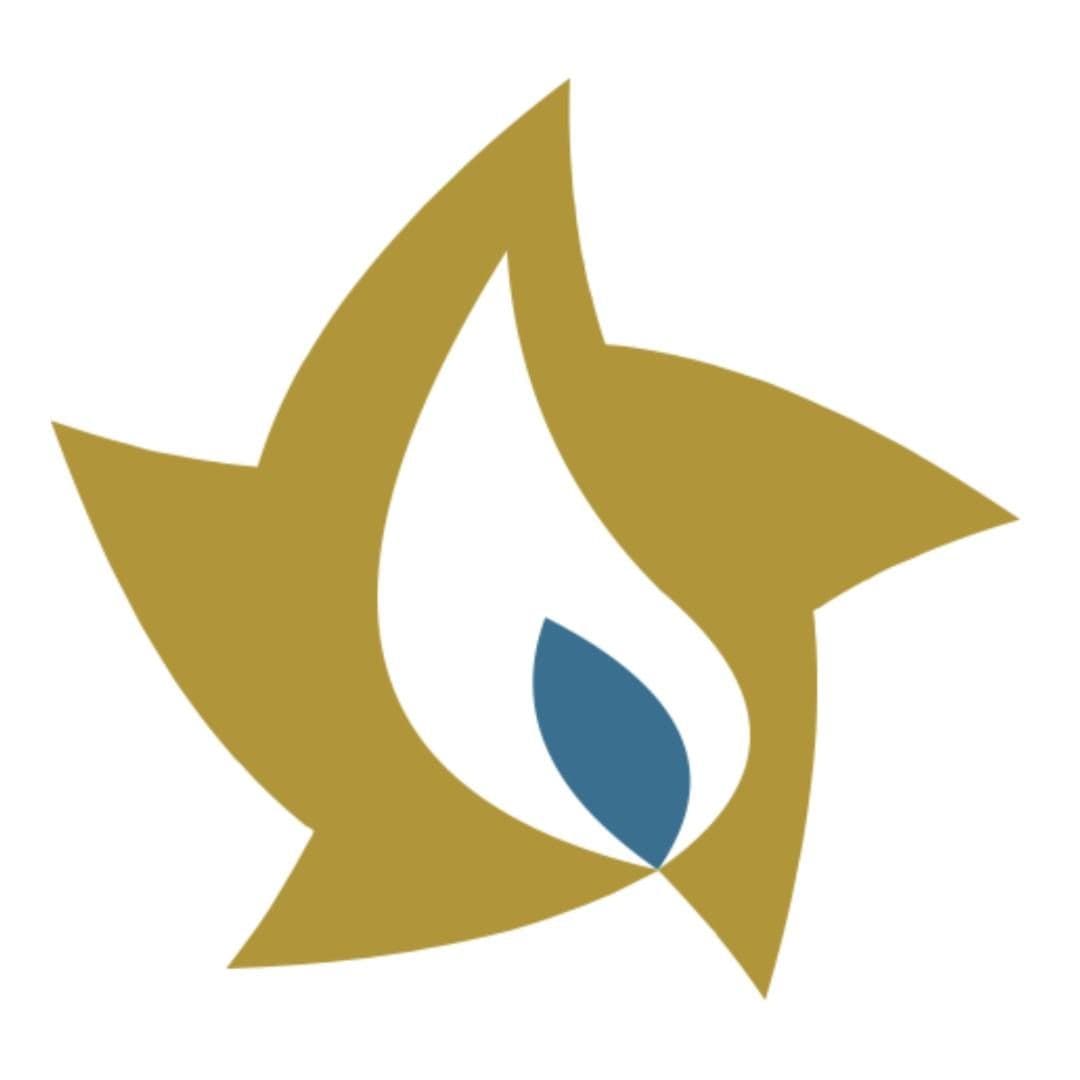 Lone Star Candle Supply color logo