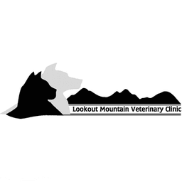 Lookout Mtn Vet