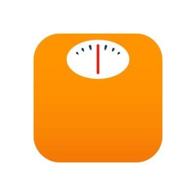 Lose It! color logo