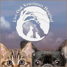 Live Oak Veterinaria