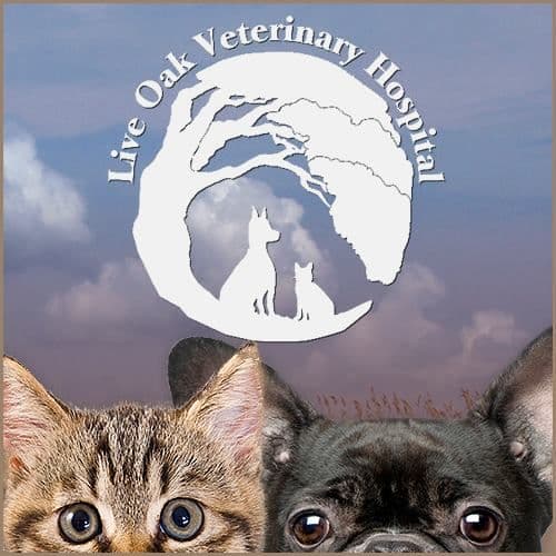 Live Oak Veterinaria color logo