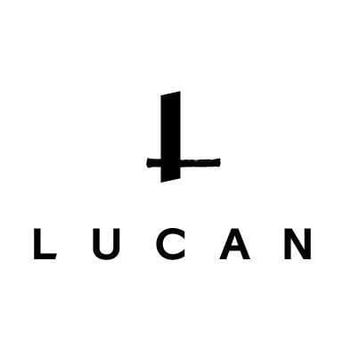 Lucan Fashion color logo