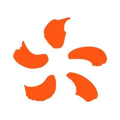 Luminus Energie color logo