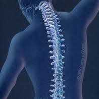 Madison Spine & PT color logo