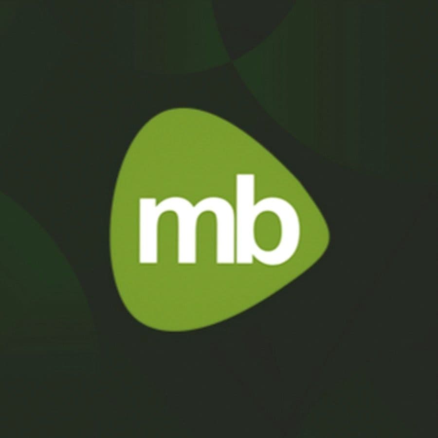 Magnet Brains Software Tech. Pvt. Ltd color logo